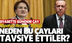 Siyasetin gündemi çay: Hangi bitki çayı neye iyi geliyor?