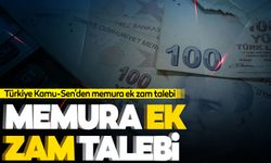 Türkiye Kamu-Sen'den memura ek zam talebi