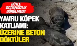 Antalya’da yavru köpeklere beton atık suyu katliamı!