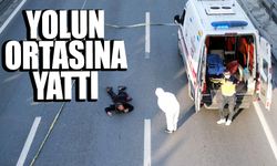 E-5 karayolunda ilginç anlar
