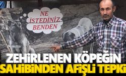 Köpeği zehirlenen adamdan sitem dolu afiş