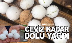 Ceviz büyüklüğünde dolu yağdı