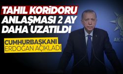 Cumhurbaşkanı Erdoğan: 'Tahıl koridoru anlaşması 2 ay daha uzatıldı'