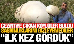 Doğada gezintiye çıkan köylüler buldu... Şaşkınlıklarını gizleyemediler