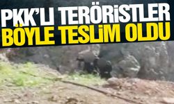 MSB 2 PKK’lı teröristin teslim olduğu görüntüleri paylaştı