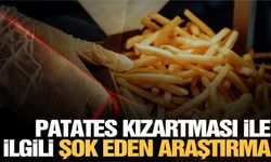 Patates kızartması yiyenlerde görülüyor… Bilim insanları korkutan gerçeği açıkladı