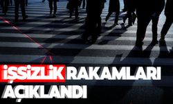 TÜİK işsizlik rakamlarını açıkladı