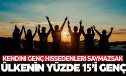 Türkiye'de nüfusun yüzde 15,2'sini gençler oluşturuyor