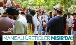 Manisalı üreticiler Mısır'da! Üzüm hasadını incelediler