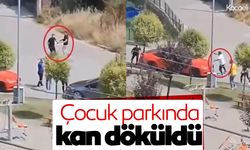 Çocuk parkındaki kavga büyüdü... Silahlar çekildi!