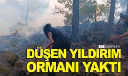 Düşen yıldırım ormanı yaktı