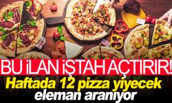 İştah açan iş ilanı: Haftada 12 pizza yiyecek eleman aranıyor