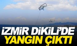 İzmir Dikili'de yangın!