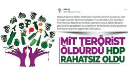 MİT PKK'lıları öldürdü... HDP çok rahatsız oldu