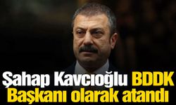 Şahap Kavcıoğlu BDDK Başkanı olarak atandı
