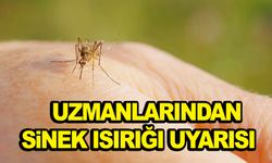 Uzmanlarından sinek ısırığı uyarısı