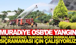 Muradiye OSB’de feci yangın… Manisa Valisinden açıklama geldi!