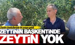 Akhisar’da zeytin ağaçları bu sene ürün vermedi