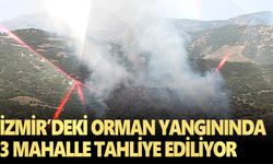 İzmir’deki orman yangınında 3 mahalle tahliye ediliyor