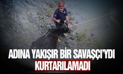 Adına yakışır bir Savaşçı’ydı… Kurtarılamadı