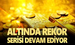 Altında rekor serisi sürüyor