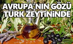 Avrupa’nın gözü Türk zeytininde