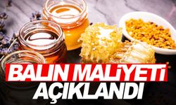 Balın maliyeti açıklandı… 1 kilogram balın üretim fiyatı bakın ne kadar çıktı!