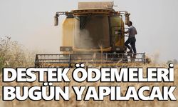 Tarım Bakanlığı duyurdu… Bugün hesaplara yatacak