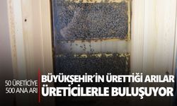 Büyükşehir’in ürettiği arılar, üreticilerle buluşuyor