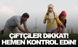 Bakan açıkladı… Hesaplarınız kontrol edin!