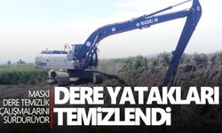 Mecidiye mahallesinde dere yatakları temizlendi