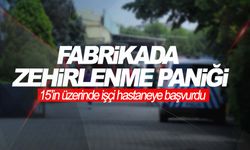 Fabrikada zehirlenme paniği!