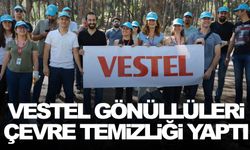 Vestel gönüllüleri çevre temizliği yaptı