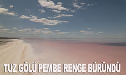 Tuz Gölü pembe renge büründü