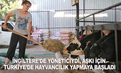 İngiltere’de yöneticiydi, aşkı için Türkiye’de hayvancılık yapmaya başladı