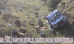 Arı yüklü kamyon devrildi, sadece onlar yardım edebildi