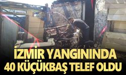 İzmir yangınında 40 küçükbaş telef oldu