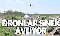 İzmir’de sivrisinek ile dronlu mücadele