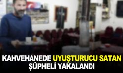 Kahvehanede uyuşturucu satan şüpheli yakalandı