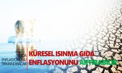 Küresel ısınma gıda enflasyonunu artırabilir