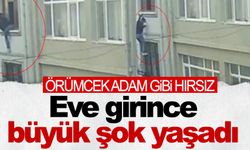 Hırsız ev sahibiyle karşılaşınca adeta 'örümcek adam'a dönüştü!