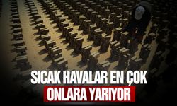 Sıcak havalar en çok onlara yarıyor