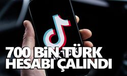 TikTok’çular dikkat! Hesaplarınız çalınmış olabilir!