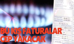 Uluslararası Enerji Ajansı Başkanı: Bu kış faturalar artabilir