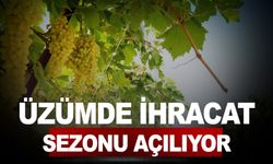 Üzümde ihracat sezonu açılıyor