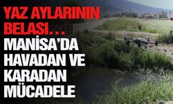 Yaz aylarının belası… Manisa’da havadan ve karadan mücadele