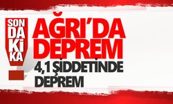 Ağrı'da 4,1 şiddetinde deprem