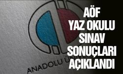 Anadolu Üniversitesi'nden yaz okulu sonuç duyurusu