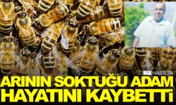 Arının soktuğu adam hayatını kaybetti