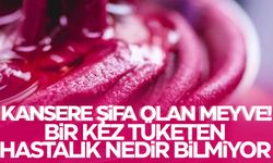 Bu meyveyi bir kez tüketen hastalık nedir bilmiyor!